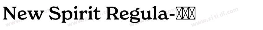 New Spirit Regula字体转换